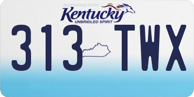 KY license plate 313TWX