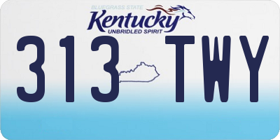 KY license plate 313TWY