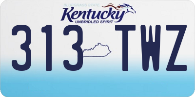KY license plate 313TWZ