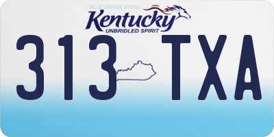 KY license plate 313TXA