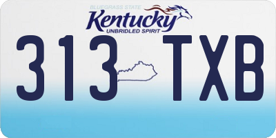 KY license plate 313TXB