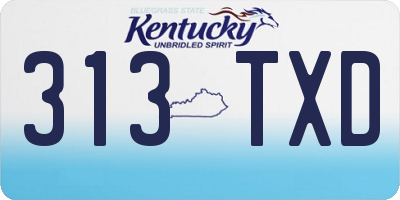 KY license plate 313TXD