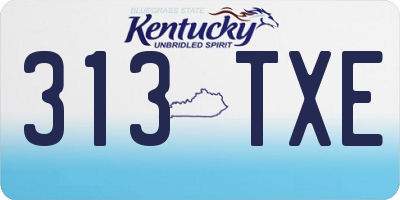 KY license plate 313TXE
