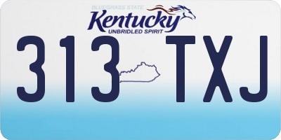 KY license plate 313TXJ