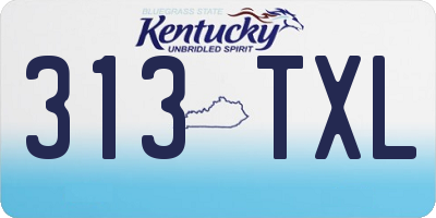 KY license plate 313TXL