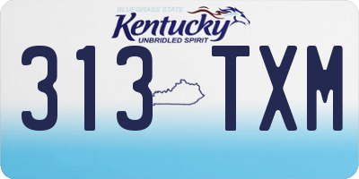KY license plate 313TXM