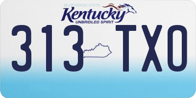 KY license plate 313TXO