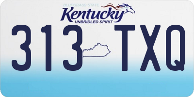 KY license plate 313TXQ