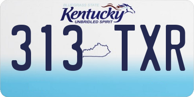 KY license plate 313TXR