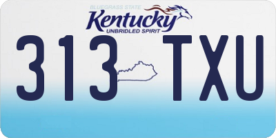 KY license plate 313TXU