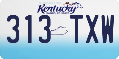 KY license plate 313TXW