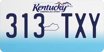 KY license plate 313TXY