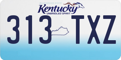 KY license plate 313TXZ