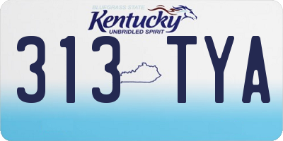 KY license plate 313TYA