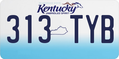 KY license plate 313TYB