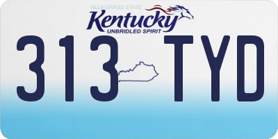 KY license plate 313TYD