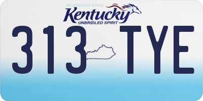 KY license plate 313TYE