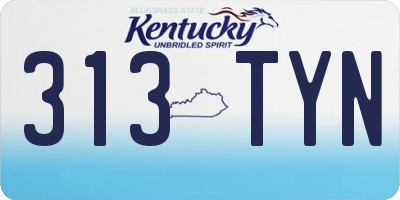 KY license plate 313TYN