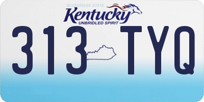 KY license plate 313TYQ