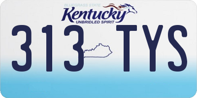 KY license plate 313TYS