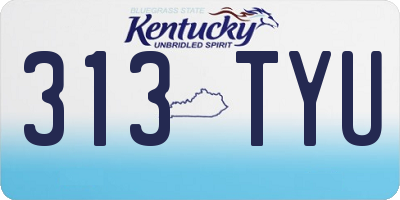 KY license plate 313TYU
