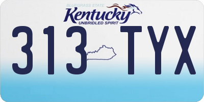 KY license plate 313TYX