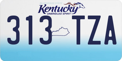 KY license plate 313TZA