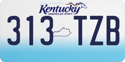 KY license plate 313TZB
