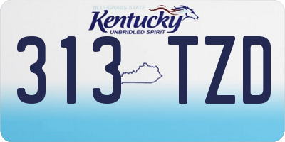 KY license plate 313TZD