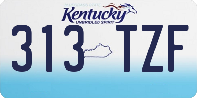 KY license plate 313TZF