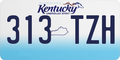 KY license plate 313TZH