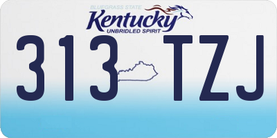 KY license plate 313TZJ