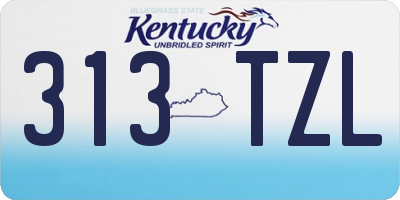 KY license plate 313TZL