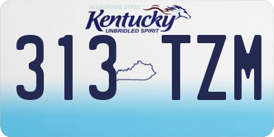 KY license plate 313TZM