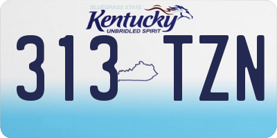 KY license plate 313TZN