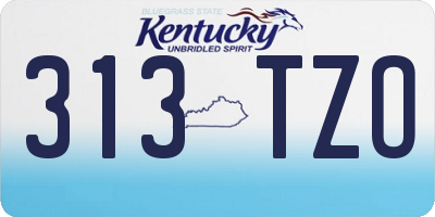 KY license plate 313TZO