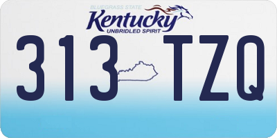 KY license plate 313TZQ