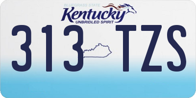 KY license plate 313TZS
