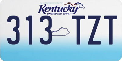 KY license plate 313TZT