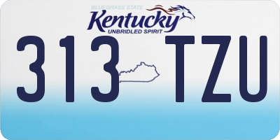 KY license plate 313TZU