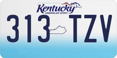 KY license plate 313TZV
