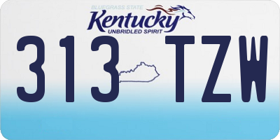 KY license plate 313TZW