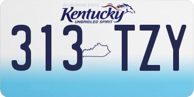 KY license plate 313TZY