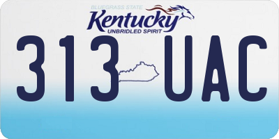 KY license plate 313UAC