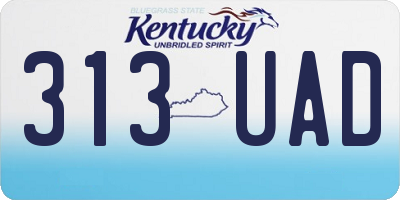KY license plate 313UAD