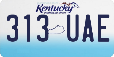 KY license plate 313UAE