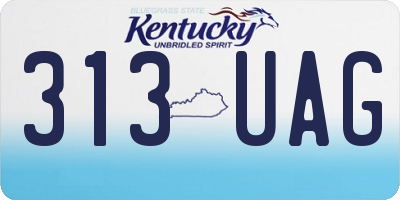 KY license plate 313UAG