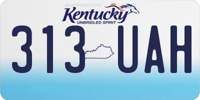 KY license plate 313UAH