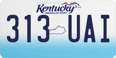 KY license plate 313UAI