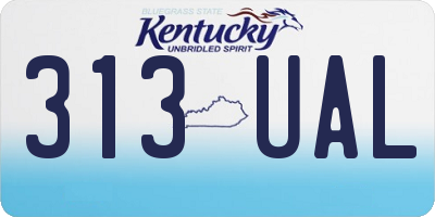 KY license plate 313UAL